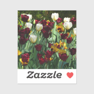 Maroon und Gelbe Tulips farbenfrohe Blumen Aufkleber