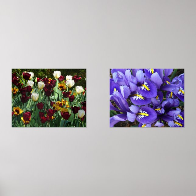 Maroon und Gelbe Tulips farbenfrohe Blumen Bilderwand Sets (Vorderseite)