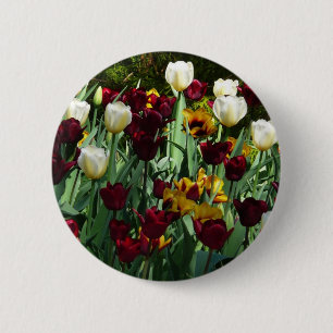 Maroon und Gelbe Tulips farbenfrohe Blumen Button