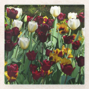 Maroon und Gelbe Tulips farbenfrohe Blumen Glasuntersetzer