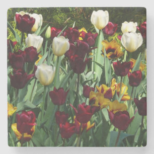 Maroon und Gelbe Tulips farbenfrohe Blumen Steinuntersetzer