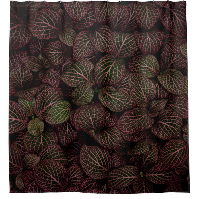 MAROONBLÄTRIGE BLUME DUSCHVORHANG (Vorderseite)