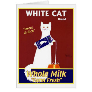 Marque blanche pour chats Lait entier
