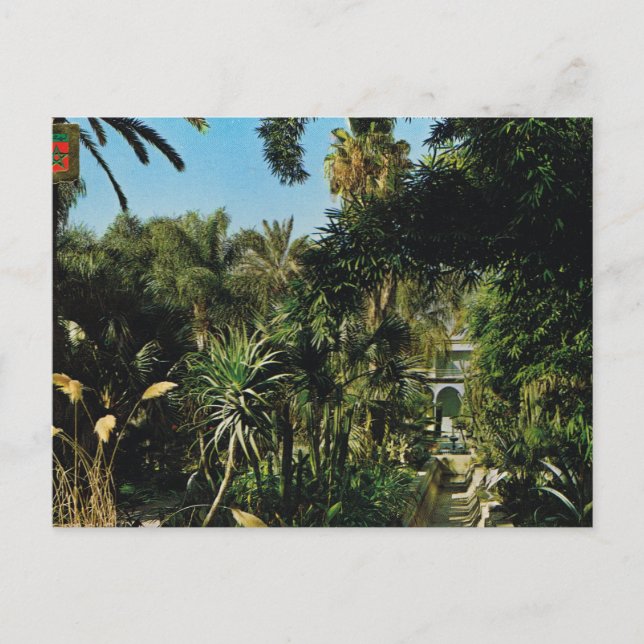 Marrakesh, Majorelle gardens, Morocco Postkarte (Vorderseite)