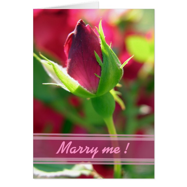 Marry me red rose bud (Vorne)