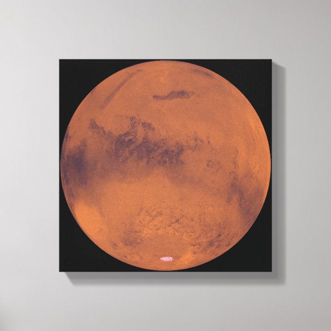 MARS 4 LEINWANDDRUCK (Vorderseite)