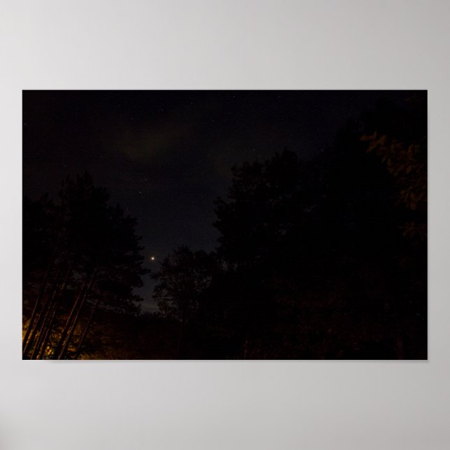 Mars aus Michigan Poster (Vorne)