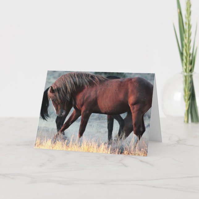 Marschall der Grußkarte für den Stallion Karte (Vorderseite)