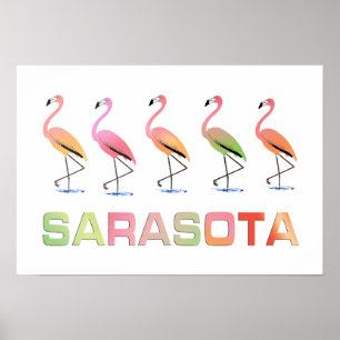 Marschierende Flamingos Sarasota Poster