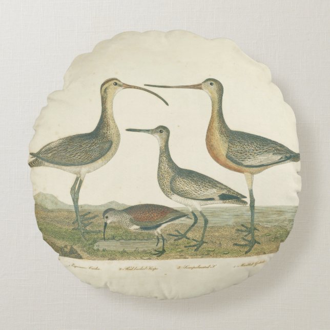 Marsh Bird Curlew Snipe Vogelbeobachtung Rundes Kissen (Vorderseite)