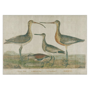 Marsh Bird Curlew Snipe Vogelbeobachtung Schneidebrett