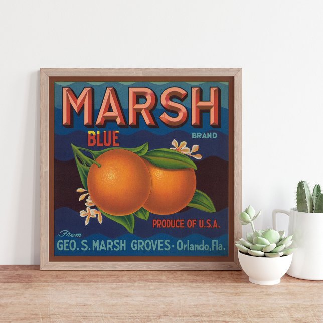 Marsh Brand | Vintages Zitruszeichen Poster (Von Creator hochgeladen)