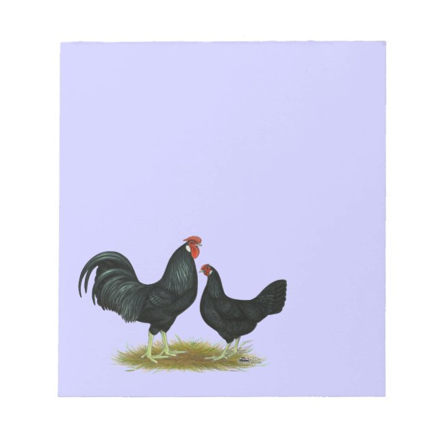 Marsh Daisy Chickens Notizblock (Vorderseite)