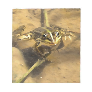 Marsh Frog ist in Flussgemälden eingetaucht Notizblock