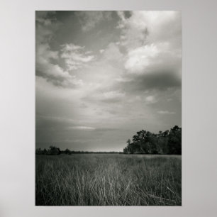 Marsh Grasses Poster