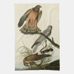 Marsh Hawk von Audubons Vögeln von Amerika Geschirrtuch