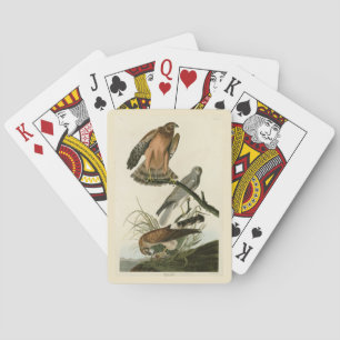Marsh Hawk von Audubons Vögeln von Amerika Spielkarten
