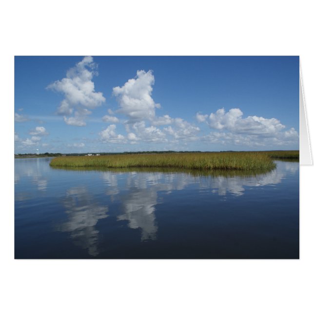 Marsh Mellow II (Vorderseite (Horizontal))