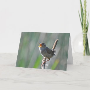 Marsh Wren Singing Loud - Framework Art Card Karte
