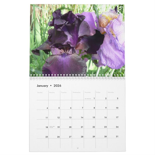 Marshas fantastische Iris Cale 2008… Kalender (Jan 2026)