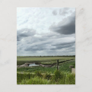 Marshes Postkarte