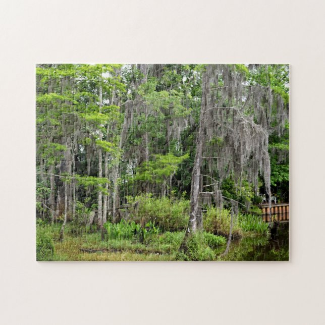 Marshland Florida, USA (Horizontal)