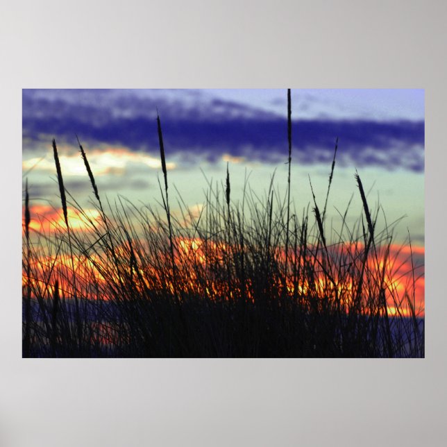 Marshland Sunset Poster (Vorne)