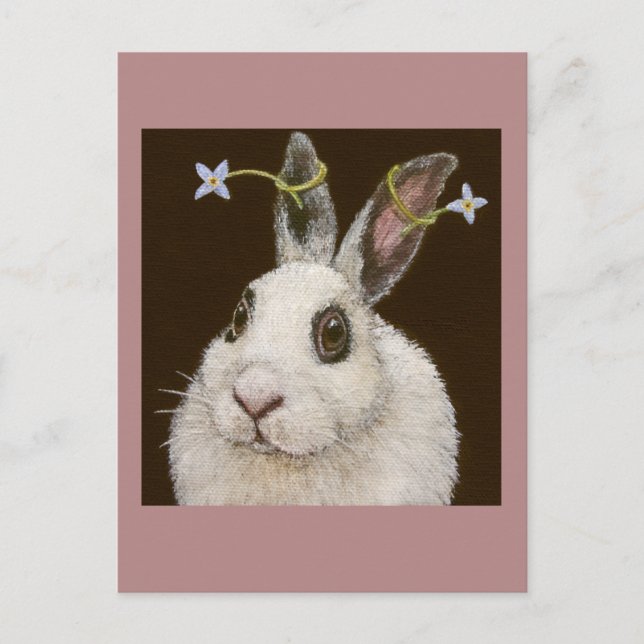 marshmallow les cartes postales du lapin (Devant)