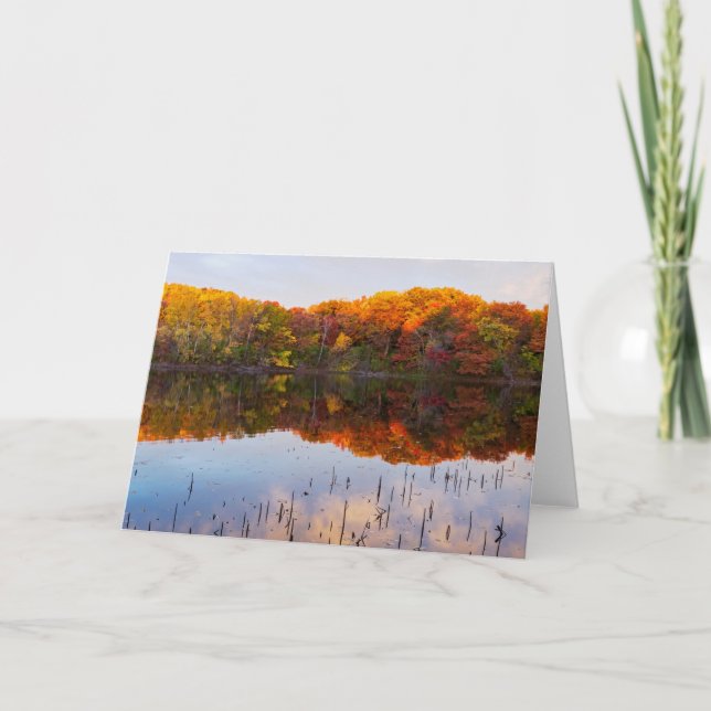 marthaler park automne et étang carte de voeux (Devant)
