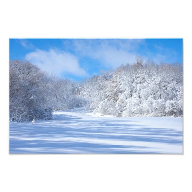 Marthaler Park Snowy Hills Fotodruck (Vorne)