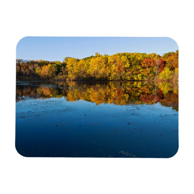 Marthaler Park Wälder und Reflexionen Herbst Magnet (Horizontal)