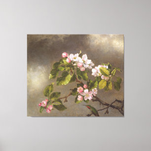 MARTIN J. HEADE - Hummingbird und Apple-Blüten - Leinwanddruck