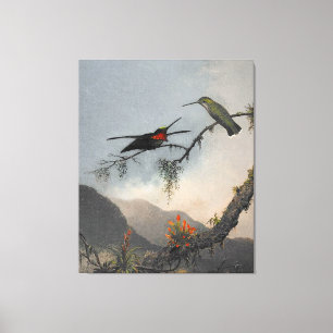 MARTIN J. HEADE Stripe-breasted Starthroat (1864) Leinwanddruck