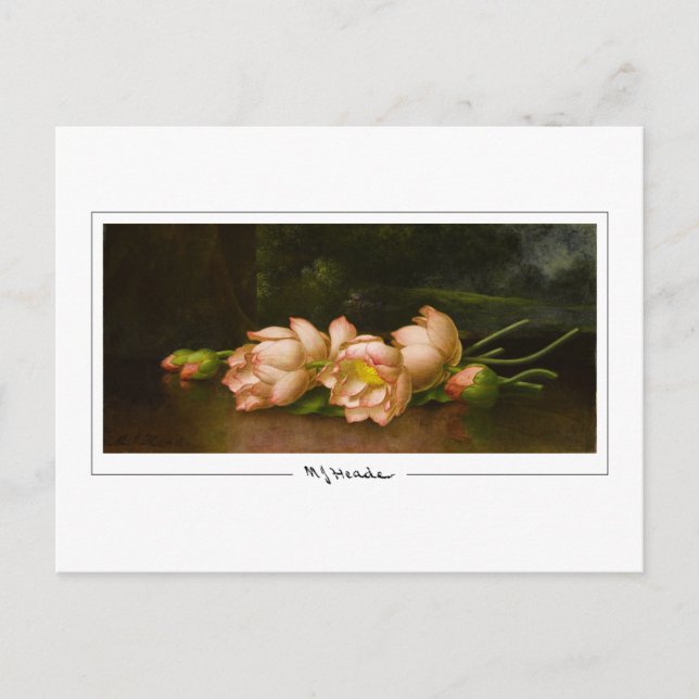 Martin Johnson Heade #34 - Carte postale Art (Devant)