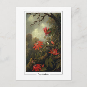 Martin Johnson Heade #36 - Carte postale d'art fin