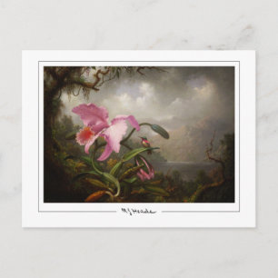 Martin Johnson Heade #45 - Kunstpostkarte Postkarte