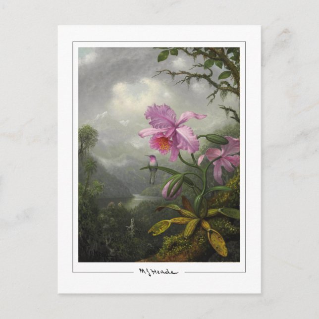 Martin Johnson Heade #4 - Fine Art Postcard Postkarte (Vorderseite)