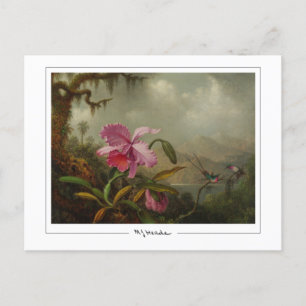 Martin Johnson Heade #51 - Carte postale Art