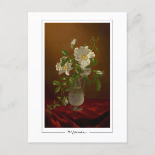 Martin Johnson Heade #5 - Fine Art Postcard Postkarte