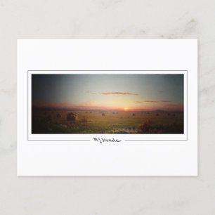 Martin Johnson Heade #77 - Fine Art Postcard Postkarte