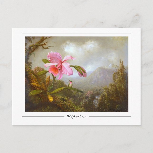 Martin Johnson Heade #8 - Fine Art Postcard Postkarte (Vorderseite)