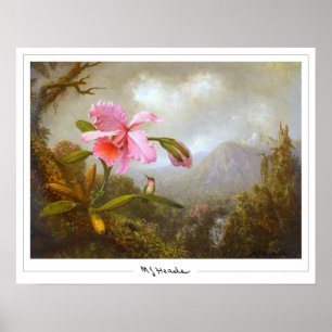 Martin Johnson Heade Affiche d'art Zedign #8