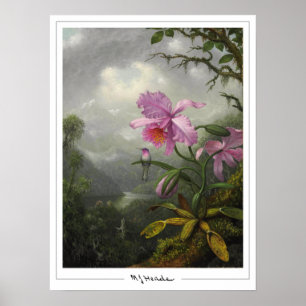 Martin Johnson Heade Affiche de Zedign Art #4