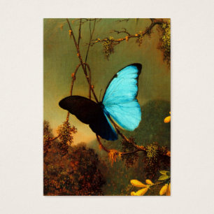 Martin Johnson Heade Blue Morpho Butterfly