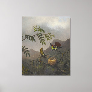 MARTIN JOHNSON HEADE - Frillhals-Kolibri - 1863-64 Leinwanddruck