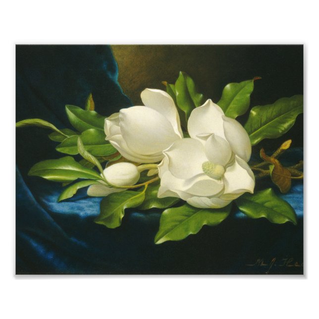Martin Johnson Heade - Giant Magnolias Fotodruck (Vorne)