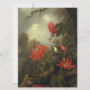 Martin Johnson Heade - Hummingbird und Passion