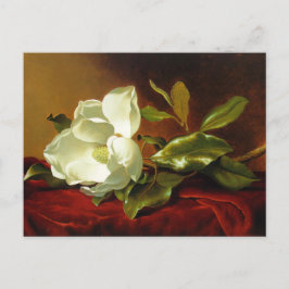 Martin Johnson Heade Magnolia Vintag Postkarte