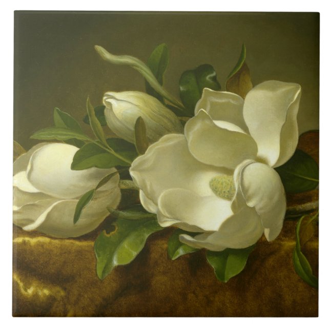 Martin Johnson Heade - Magnolias auf Gold Velvet Fliese (Vorderseite)
