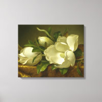 Martin Johnson Heade - Magnolias auf Gold Velvet